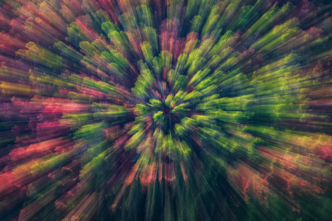 Psiloscape 14