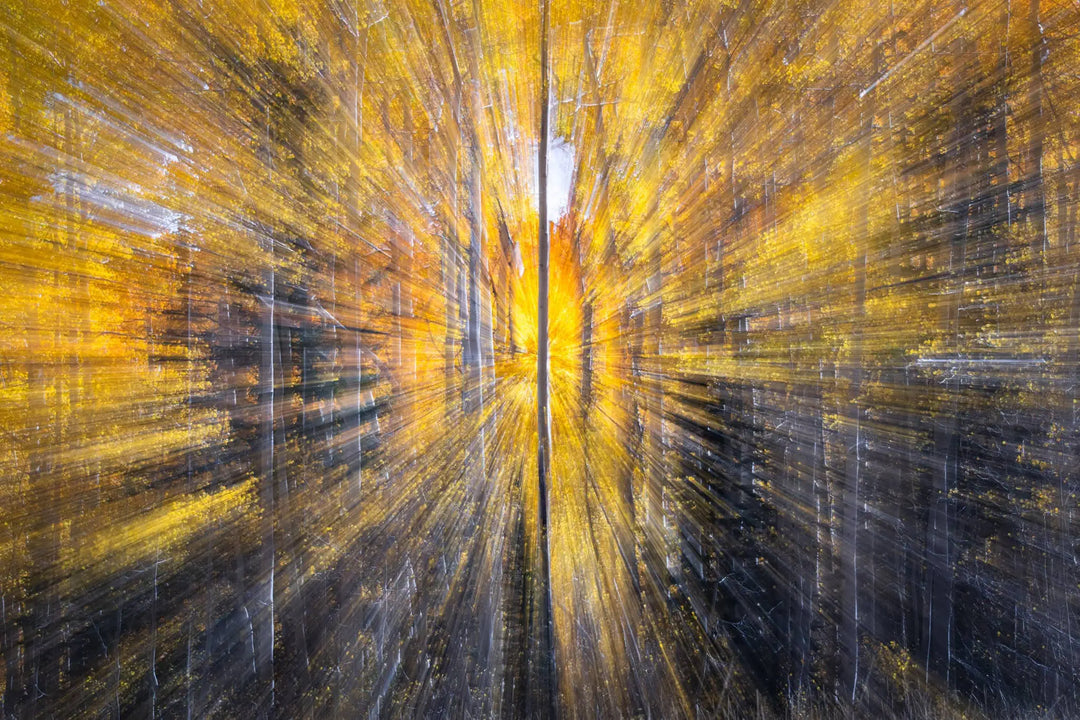 Psiloscape 07