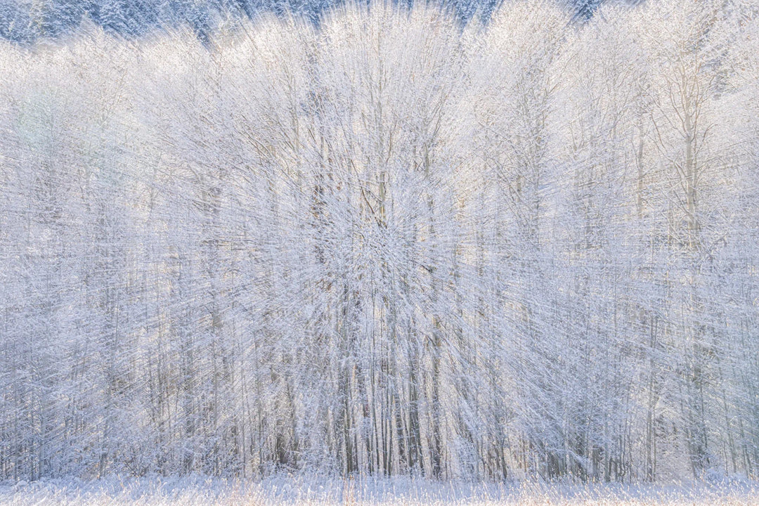 Psiloscape 09