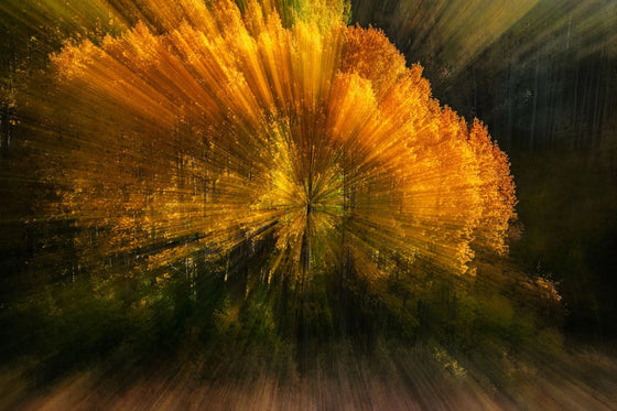 Psiloscape 01