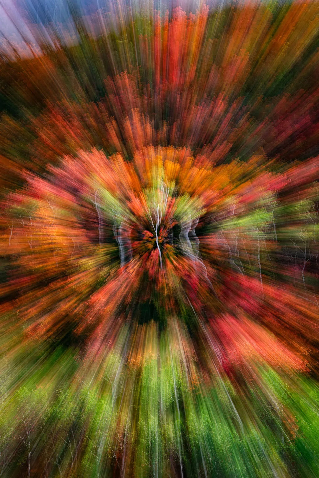 Psiloscape 04