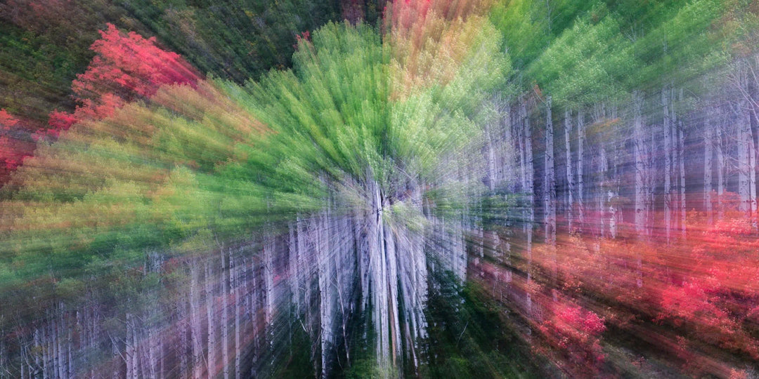 Psiloscape 19