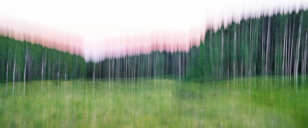 Psiloscape 27